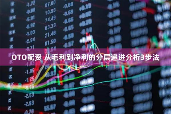 OTO配资 从毛利到净利的分层递进分析3步法
