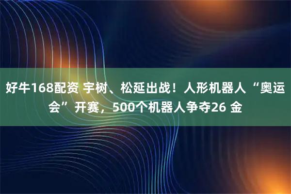 好牛168配资 宇树、松延出战！人形机器人 “奥运会” 开赛，500个机器人争夺26 金