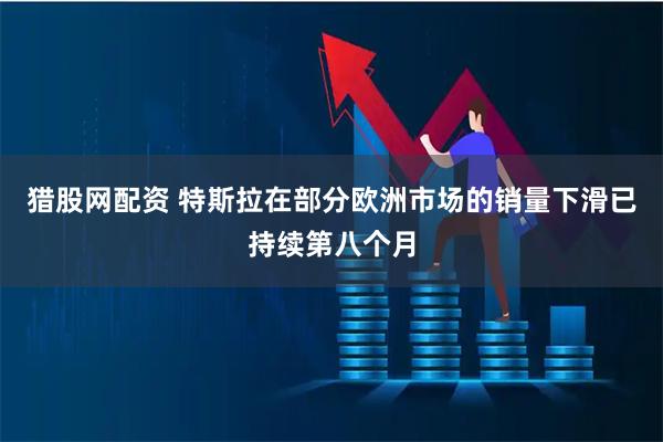 猎股网配资 特斯拉在部分欧洲市场的销量下滑已持续第八个月