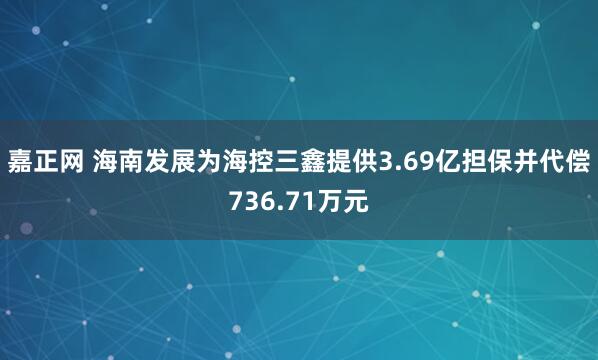 嘉正网 海南发展为海控三鑫提供3.69亿担保并代偿736.71万元